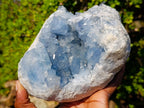 Natural Large Blue Celestite Geode Specimen x 1 From Sakoany, Madagascar