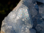 Natural Large Blue Celestite Geode Specimen x 1 From Sakoany, Madagascar