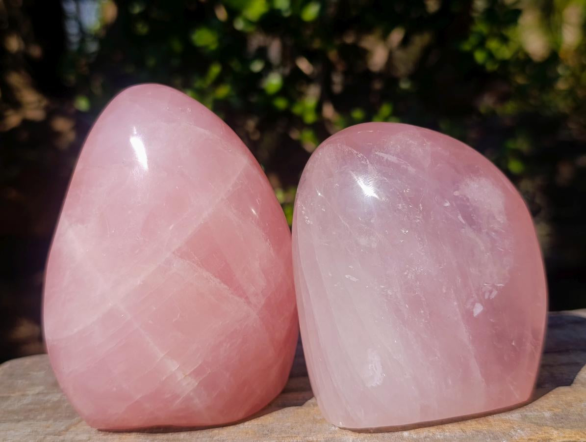 Polished Gemmy Rose Quartz Standing Display Pieces x 2 From Madagascar