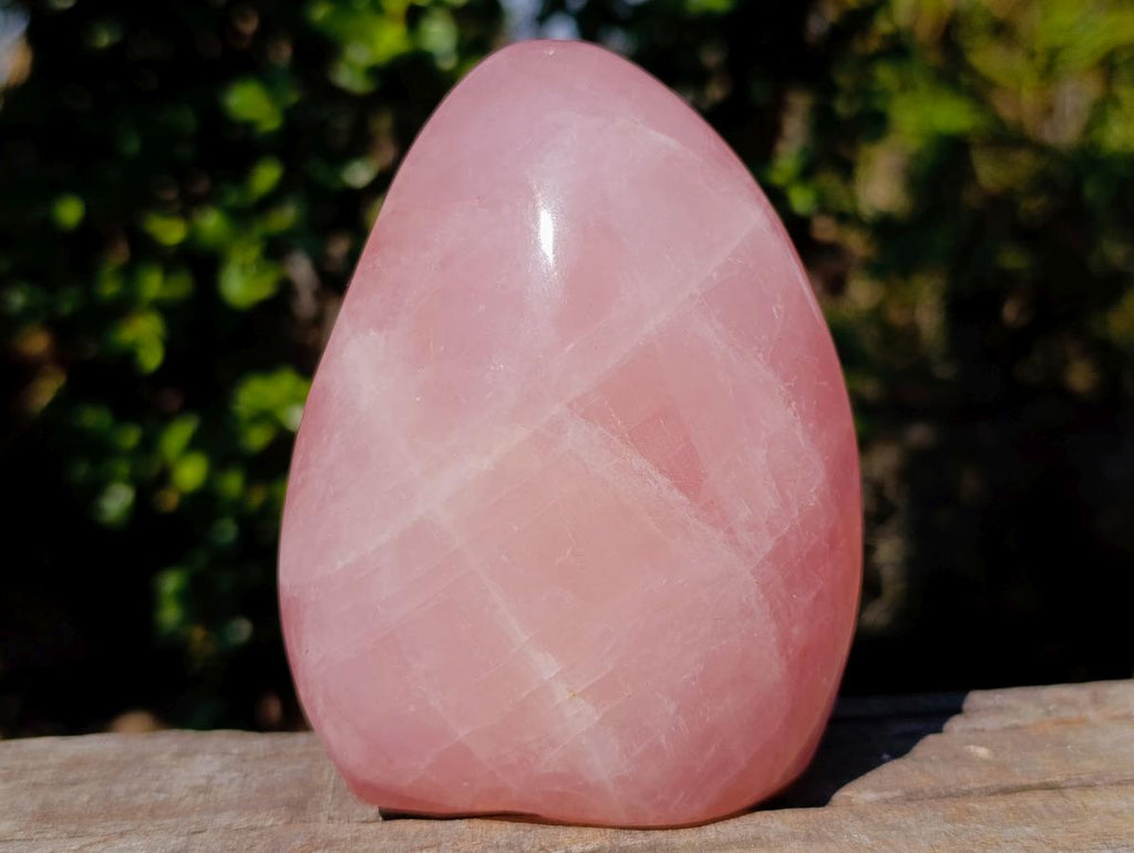 Polished Gemmy Rose Quartz Standing Display Pieces x 2 From Madagascar