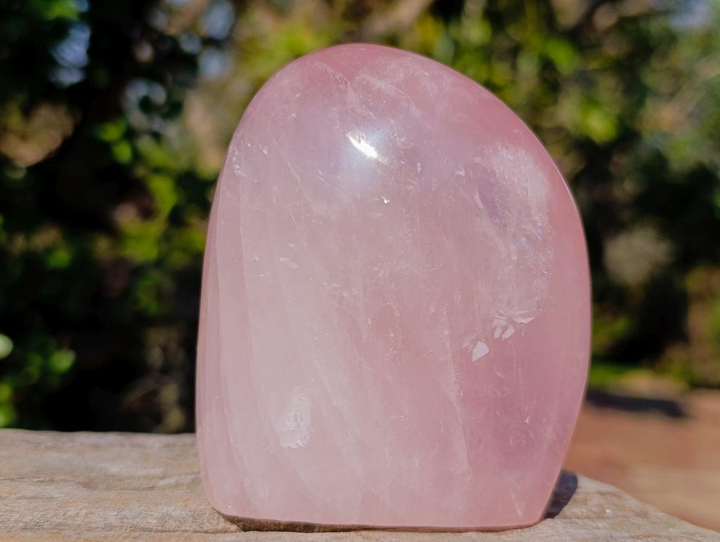 Polished Gemmy Rose Quartz Standing Display Pieces x 2 From Madagascar