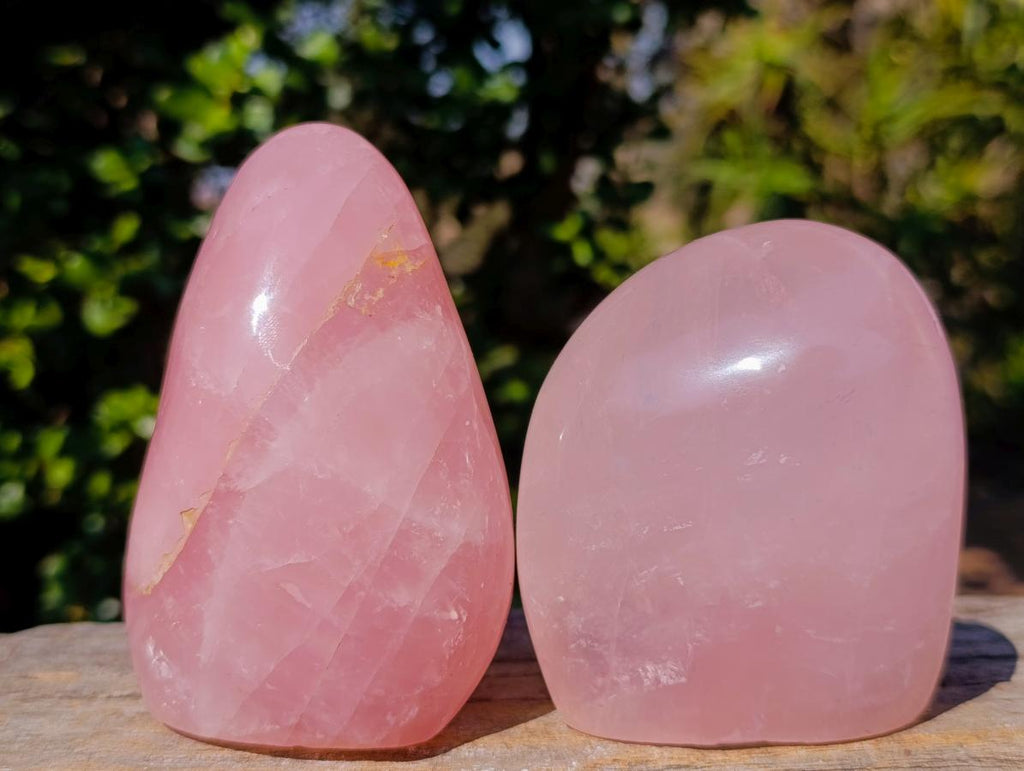 Polished Gemmy Rose Quartz Standing Display Pieces x 2 From Madagascar