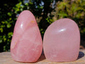 Polished Gemmy Rose Quartz Standing Display Pieces x 2 From Madagascar