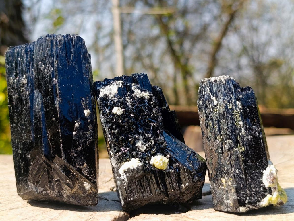 Natural Schorl Black Tourmaline Crystal Specimens x 6 From Erongo, Namibia
