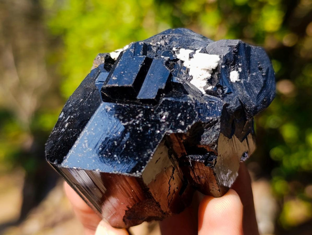 Natural Schorl Black Tourmaline Crystal Specimens x 6 From Erongo, Namibia