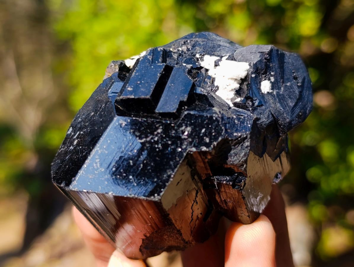 Natural Schorl Black Tourmaline Crystal Specimens x 6 From Erongo, Namibia