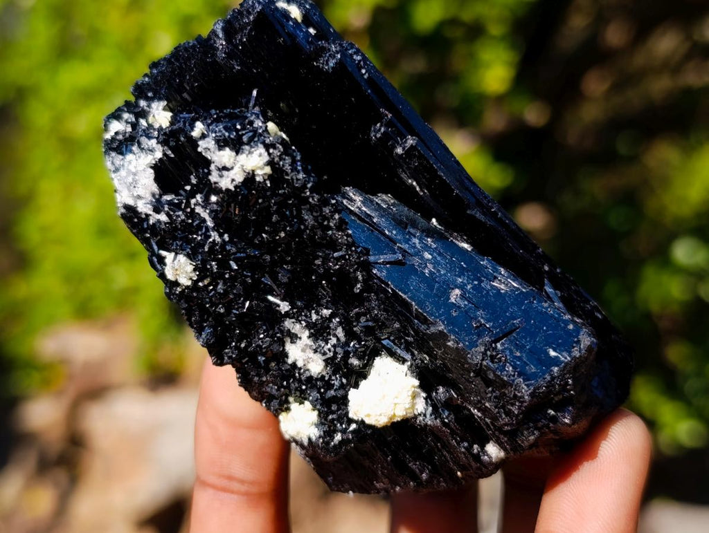 Natural Schorl Black Tourmaline Crystal Specimens x 6 From Erongo, Namibia