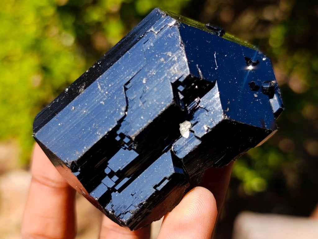 Natural Schorl Black Tourmaline Crystal Specimens x 6 From Erongo, Namibia