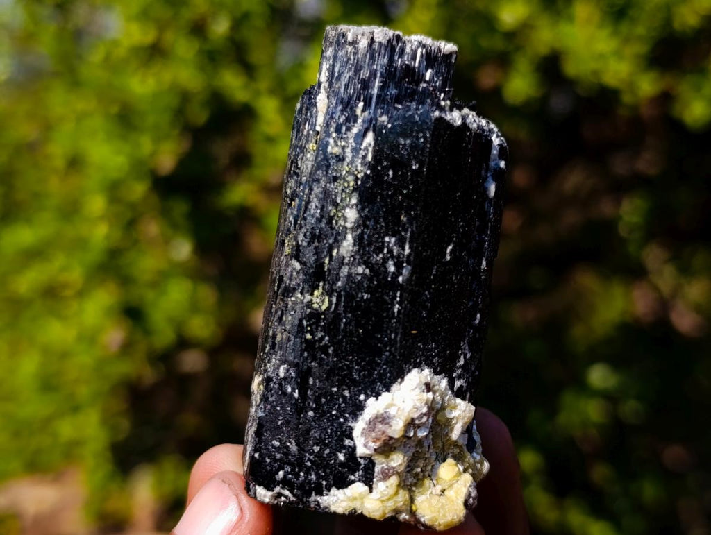 Natural Schorl Black Tourmaline Crystal Specimens x 6 From Erongo, Namibia