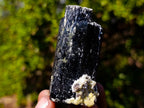 Natural Schorl Black Tourmaline Crystal Specimens x 6 From Erongo, Namibia