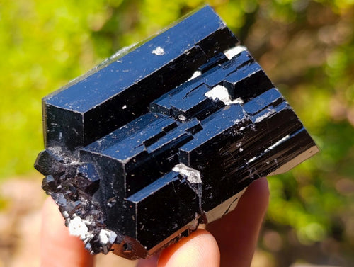 Natural Schorl Black Tourmaline Crystal Specimens x 6 From Erongo, Namibia