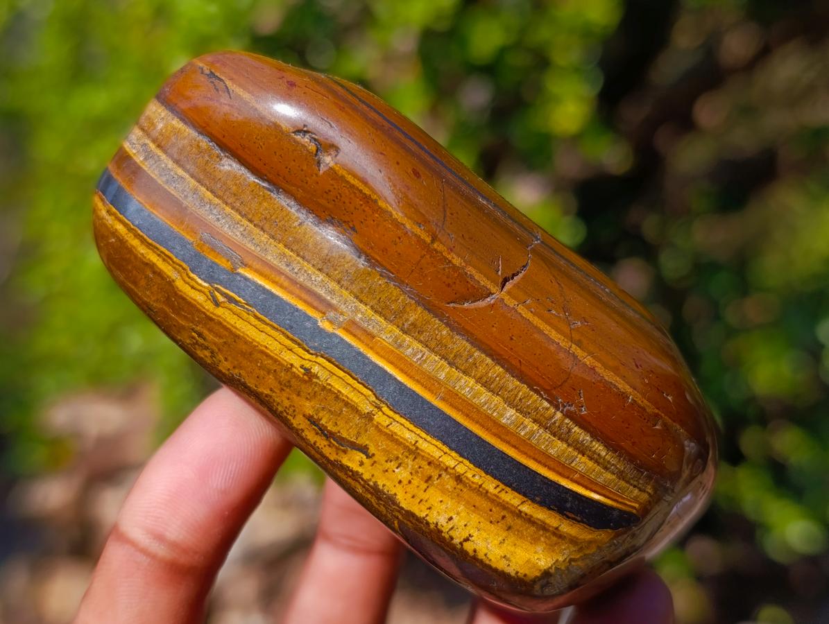 Polished Golden Tigers Eye Free Forms x 4 From Prieska, South Africa