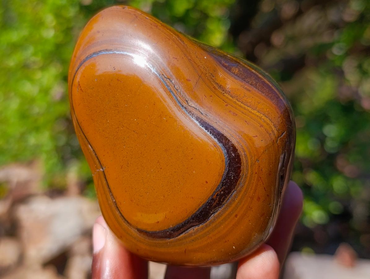 Polished Golden Tigers Eye Free Forms x 4 From Prieska, South Africa