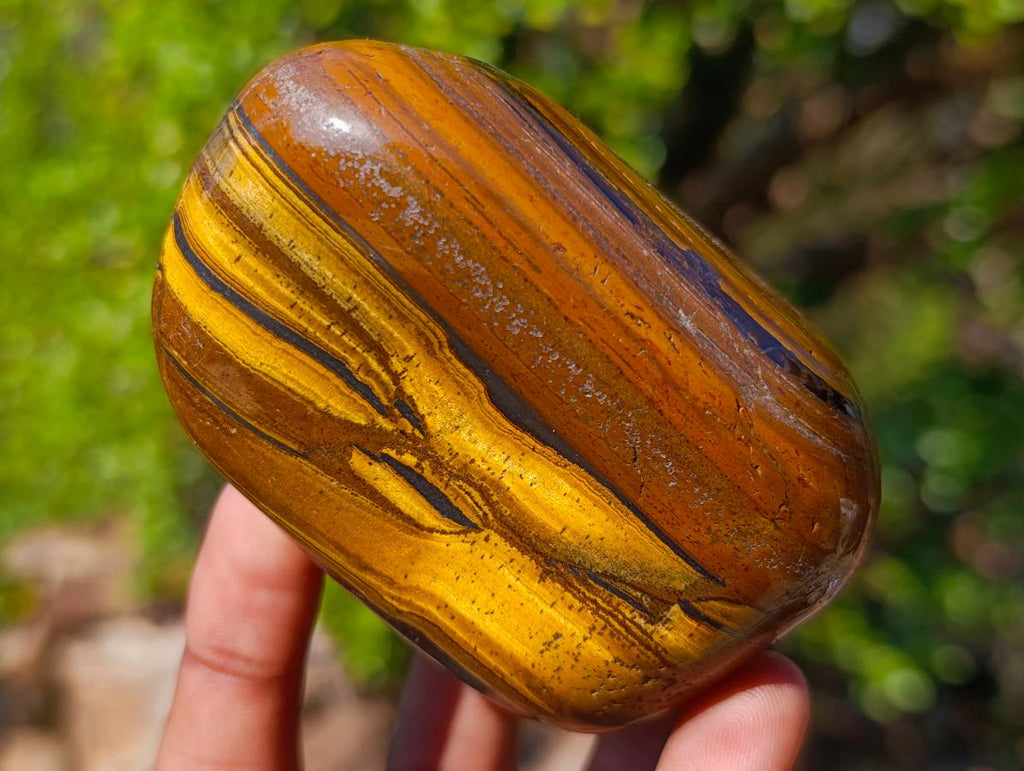 Polished Golden Tigers Eye Free Forms x 4 From Prieska, South Africa
