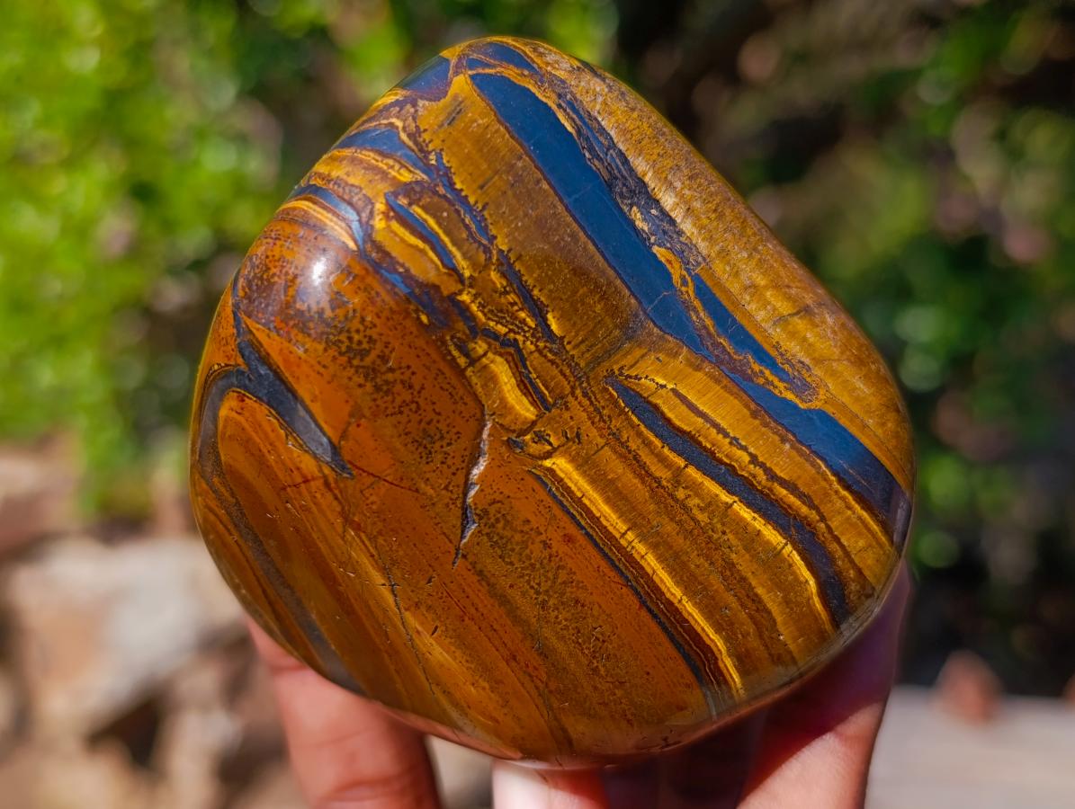 Polished Golden Tigers Eye Free Forms x 4 From Prieska, South Africa