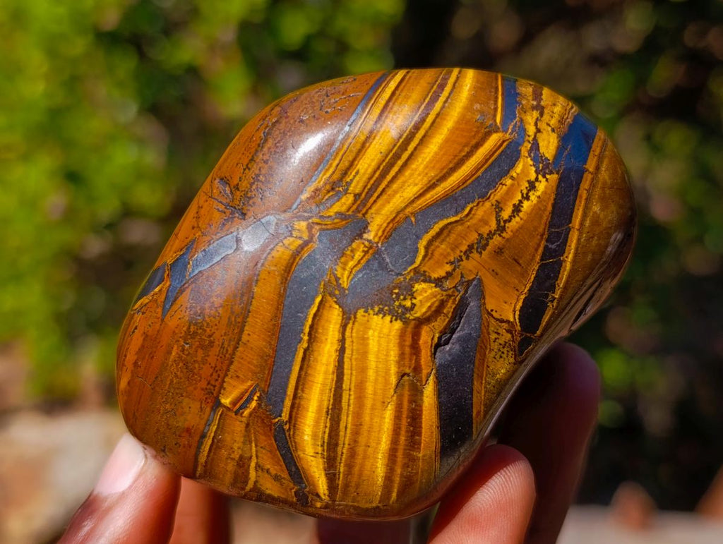 Polished Golden Tigers Eye Free Forms x 4 From Prieska, South Africa
