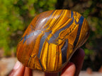 Polished Golden Tigers Eye Free Forms x 4 From Prieska, South Africa