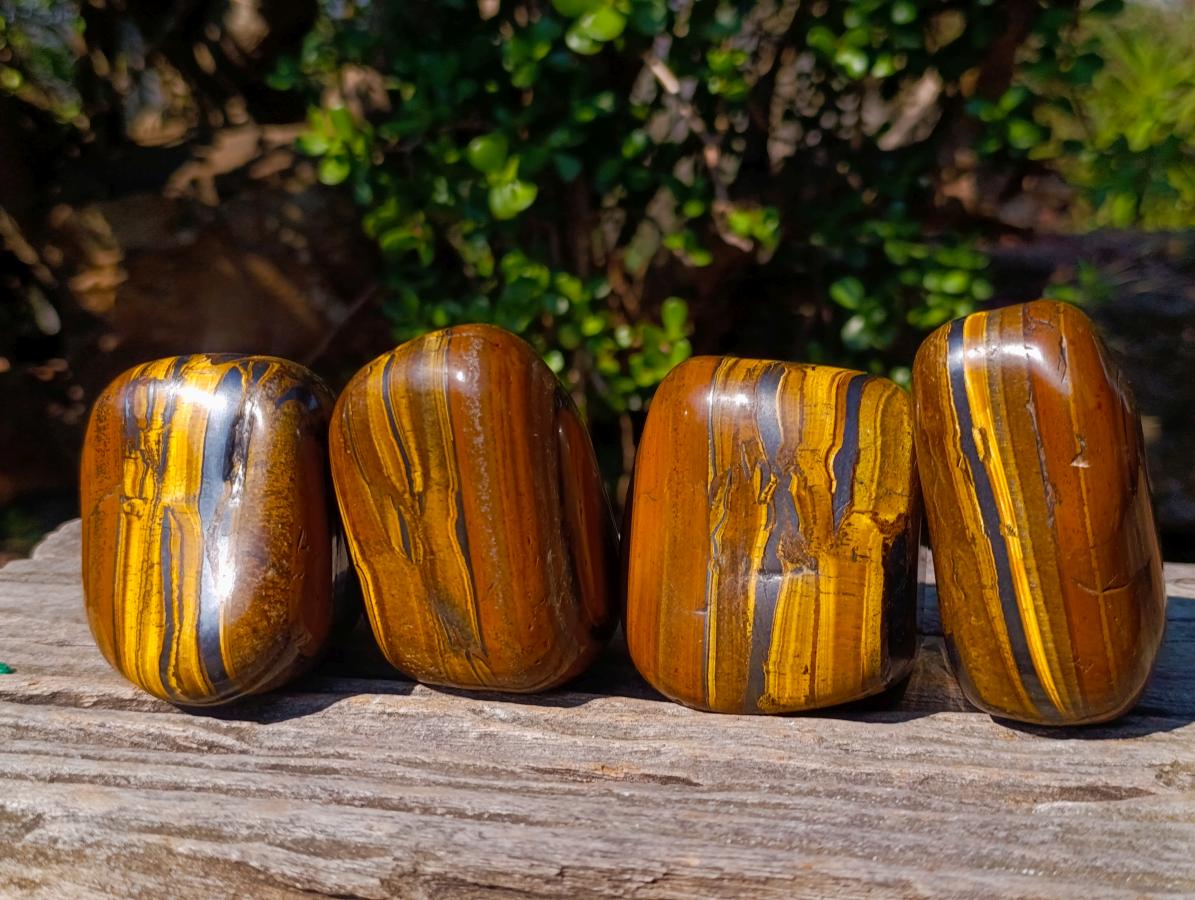 Polished Golden Tigers Eye Free Forms x 4 From Prieska, South Africa