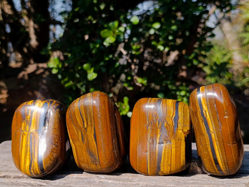 Polished Golden Tigers Eye Free Forms x 4 From Prieska, South Africa