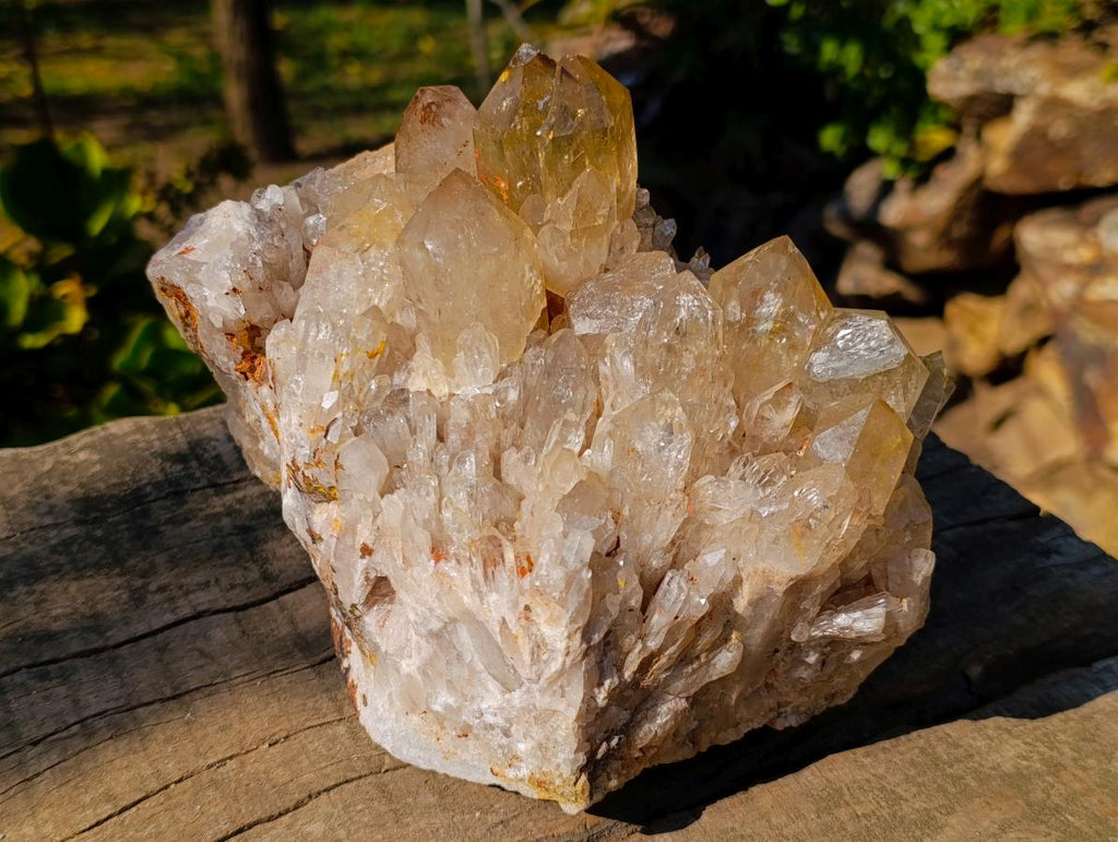 Natural Large Cascading Citrine Quartz Cluster x 1 From Luena, Congo