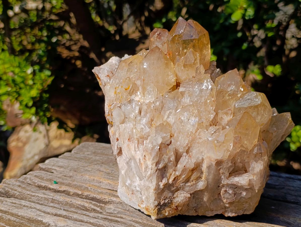 Natural Large Cascading Citrine Quartz Cluster x 1 From Luena, Congo