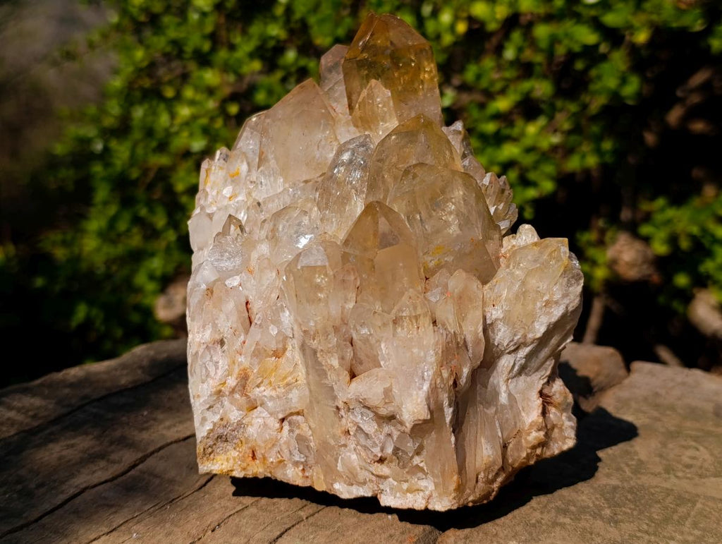 Natural Large Cascading Citrine Quartz Cluster x 1 From Luena, Congo