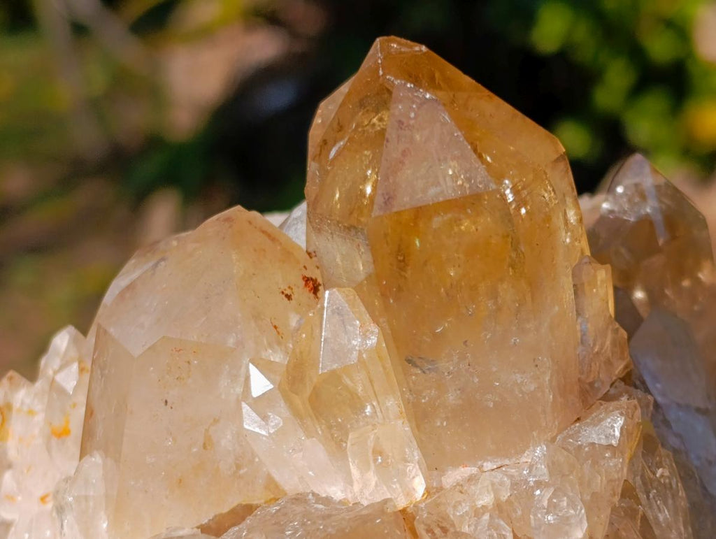 Natural Large Cascading Citrine Quartz Cluster x 1 From Luena, Congo