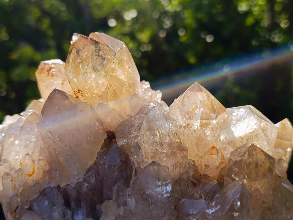 Natural Large Cascading Citrine Quartz Cluster x 1 From Luena, Congo