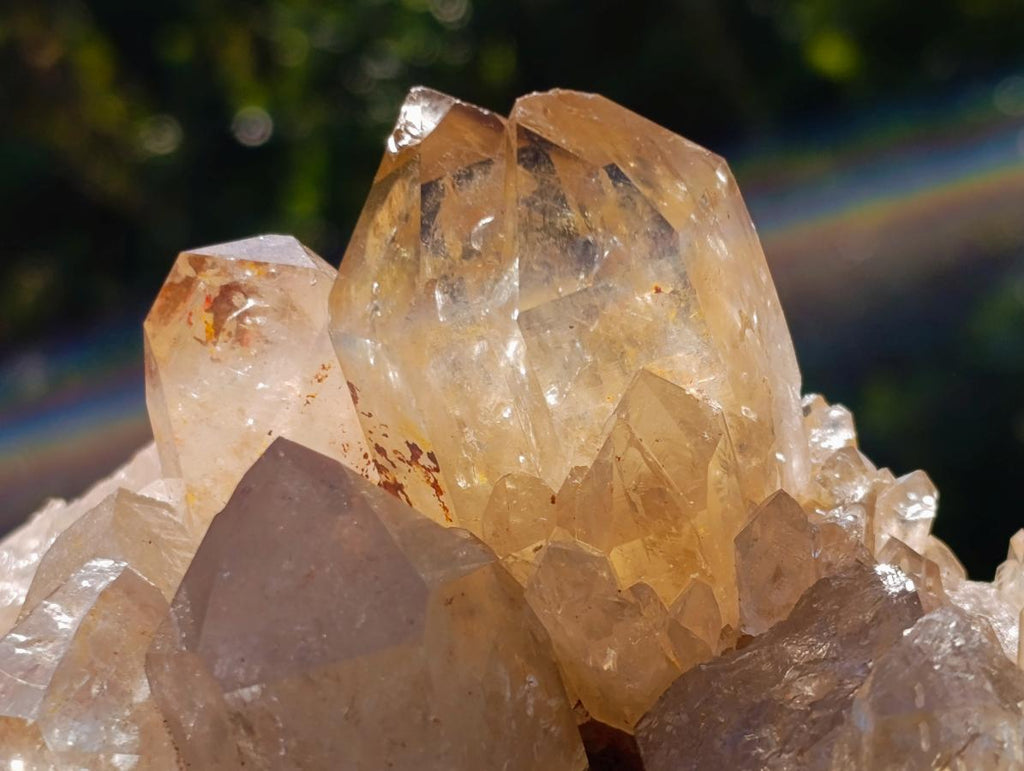 Natural Large Cascading Citrine Quartz Cluster x 1 From Luena, Congo