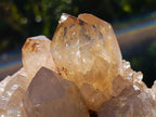 Natural Large Cascading Citrine Quartz Cluster x 1 From Luena, Congo