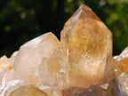 Natural Large Cascading Citrine Quartz Cluster x 1 From Luena, Congo