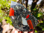 Polished Bloodstone Display Crystals x 2 From Swaziland