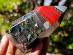 Polished Bloodstone Display Crystals x 2 From Swaziland