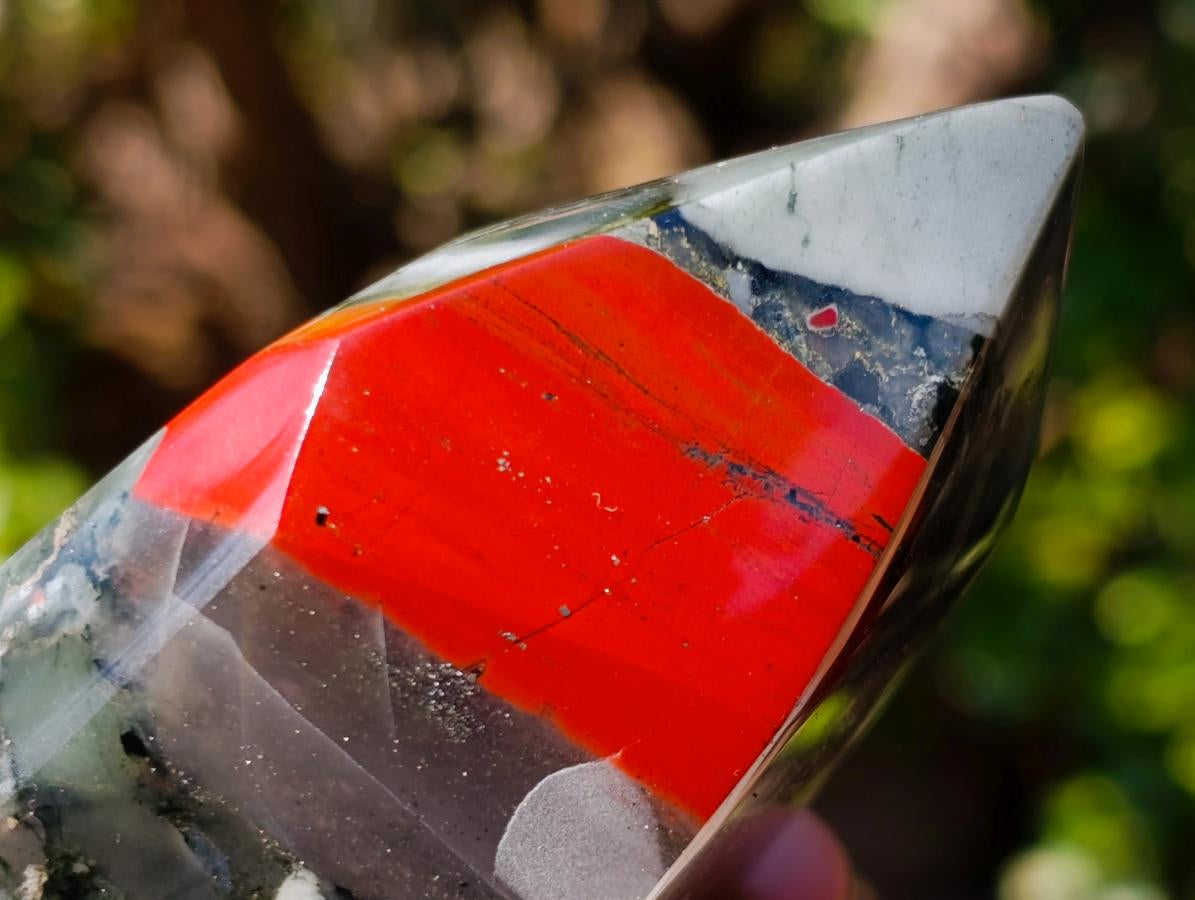 Polished Bloodstone Display Crystals x 2 From Swaziland