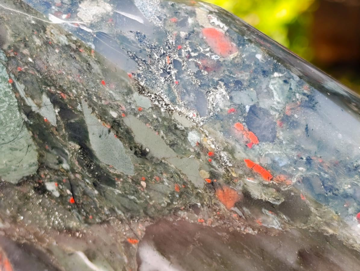 Polished Bloodstone Display Crystals x 2 From Swaziland