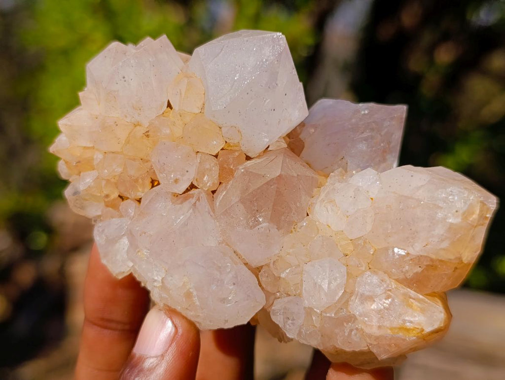Natural White Spirit Quartz Clusters x 6 From Boekenhouthoek, South Africa