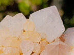 Natural White Spirit Quartz Clusters x 6 From Boekenhouthoek, South Africa