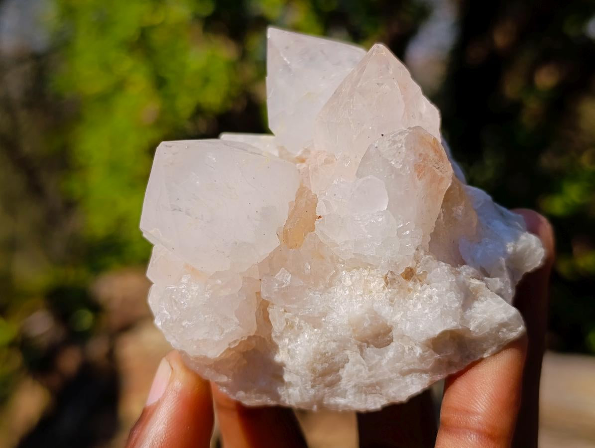 Natural White Spirit Quartz Clusters x 6 From Boekenhouthoek, South Africa