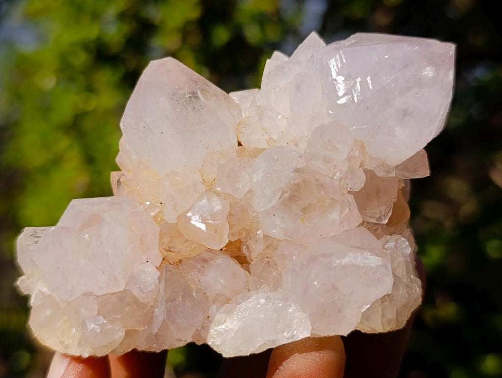 Natural White Spirit Quartz Clusters x 6 From Boekenhouthoek, South Africa