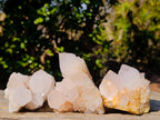 Natural White Spirit Quartz Clusters x 6 From Boekenhouthoek, South Africa
