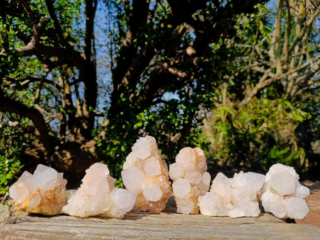 Natural White Spirit Quartz Clusters x 6 From Boekenhouthoek, South Africa