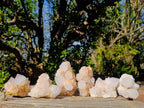 Natural White Spirit Quartz Clusters x 6 From Boekenhouthoek, South Africa
