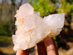 Natural White Spirit Quartz Clusters x 6 From Boekenhouthoek, South Africa