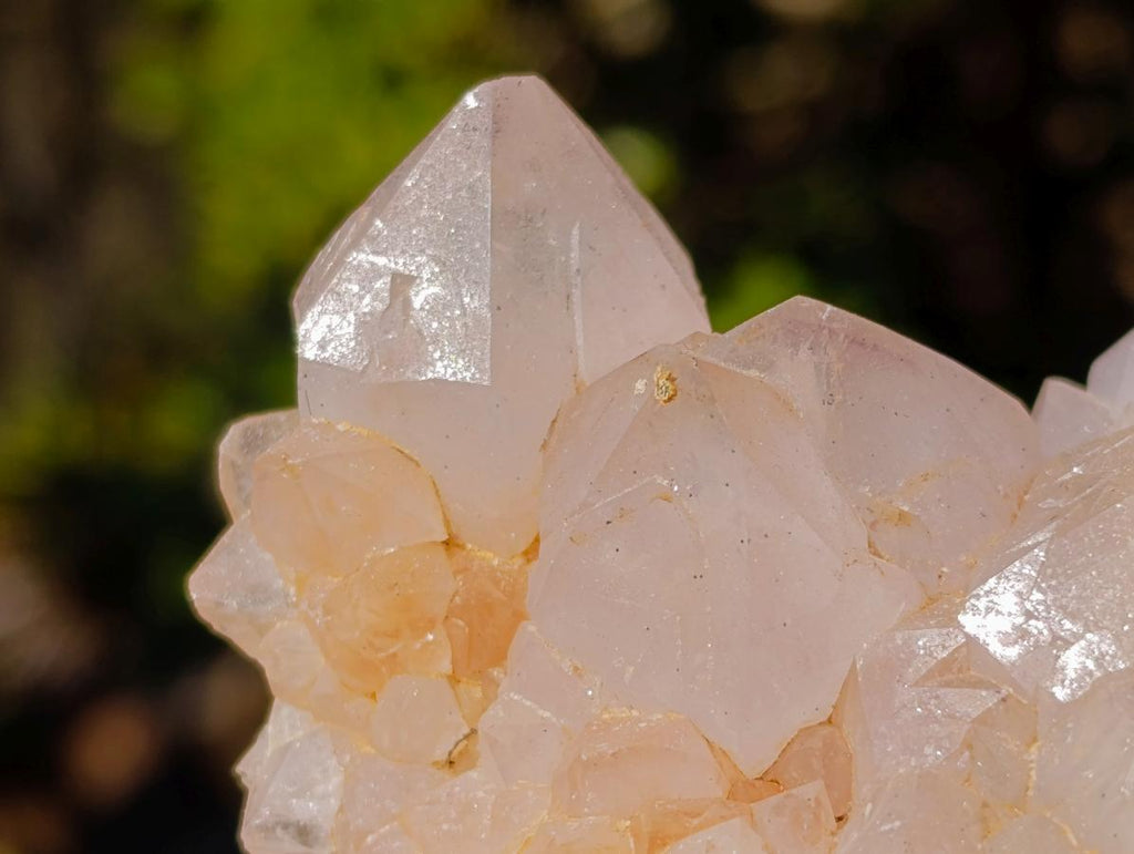 Natural White Spirit Quartz Clusters x 6 From Boekenhouthoek, South Africa