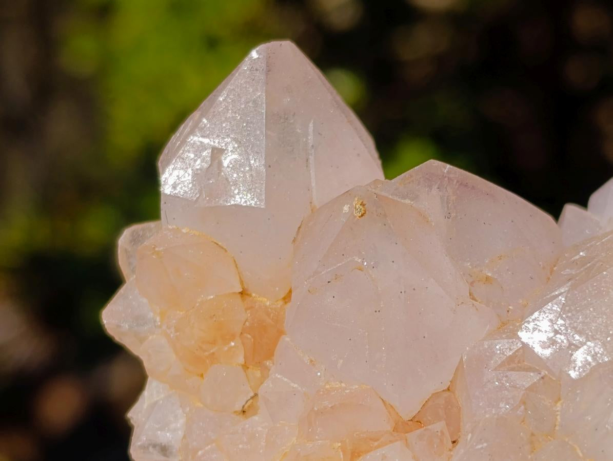 Natural White Spirit Quartz Clusters x 6 From Boekenhouthoek, South Africa