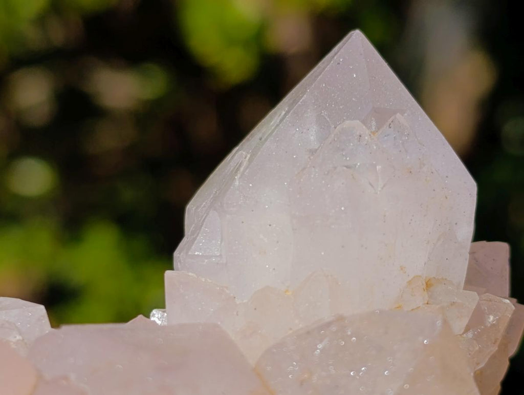 Natural White Spirit Quartz Clusters x 6 From Boekenhouthoek, South Africa