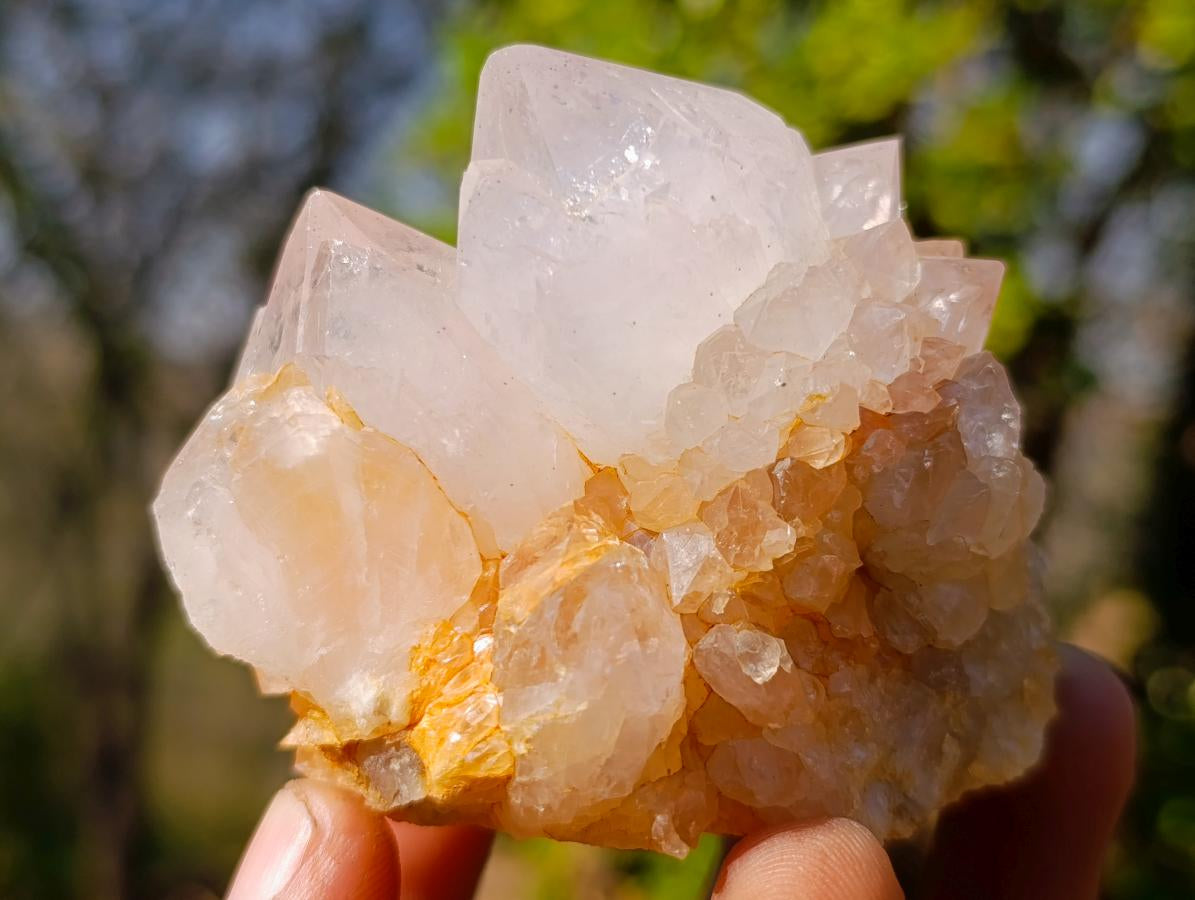 Natural White Spirit Quartz Clusters x 6 From Boekenhouthoek, South Africa