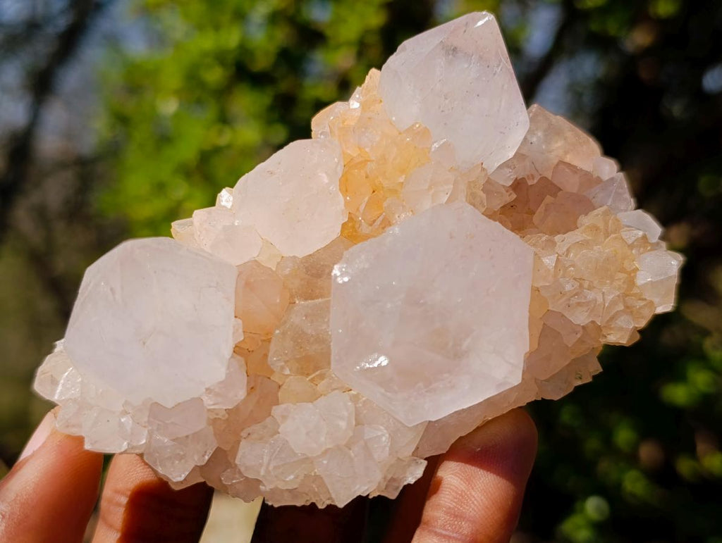 Natural White Spirit Quartz Clusters x 6 From Boekenhouthoek, South Africa