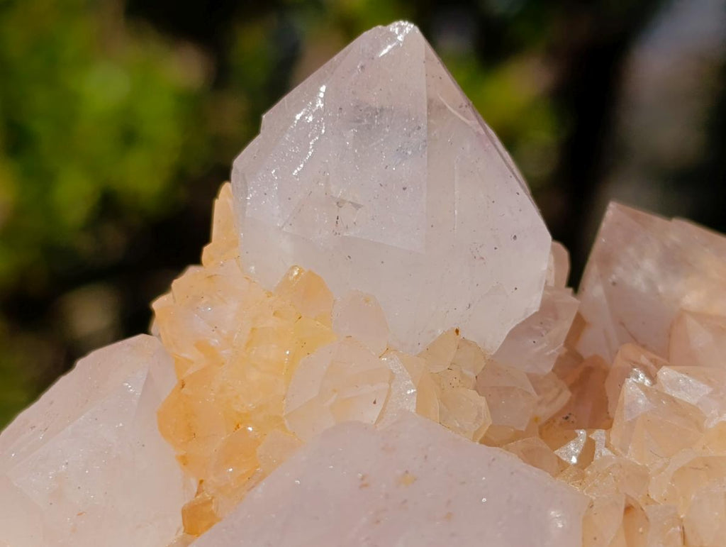 Natural White Spirit Quartz Clusters x 6 From Boekenhouthoek, South Africa