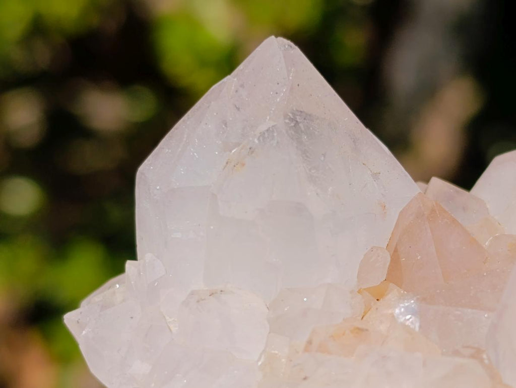 Natural White Spirit Quartz Clusters x 6 From Boekenhouthoek, South Africa